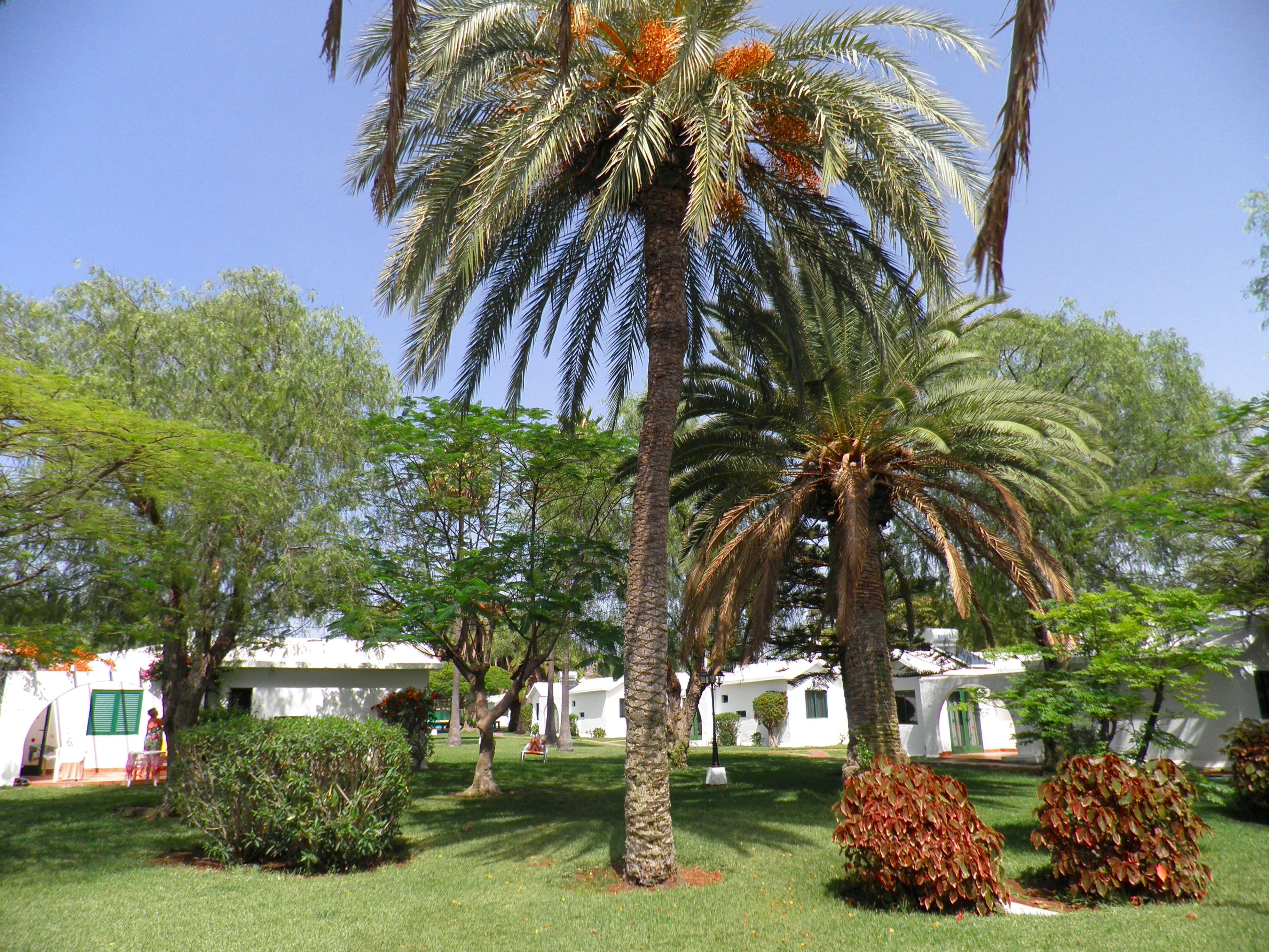 Canary Garden Club Maspalomas  Extérieur photo